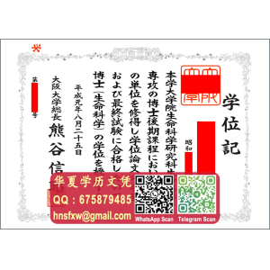 日本大阪大学博士士学位记证书范本|办理大阪大学博士学位记证书|定製大阪大學博士學位證書|購買大阪大學博士畢業文憑|The University of Osaka Doctor of Philosophy Diploma Certificate